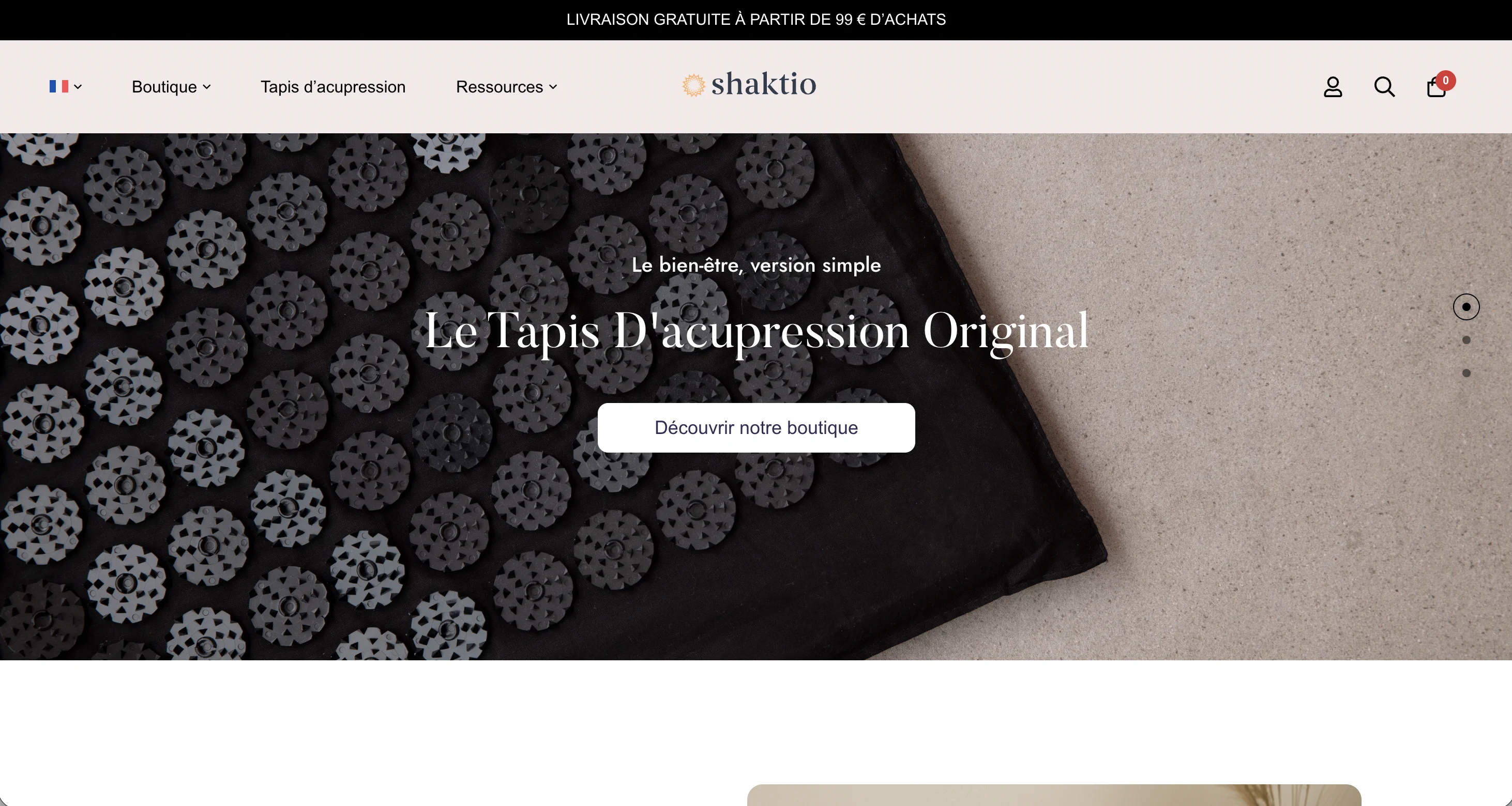 Site web Shaktio